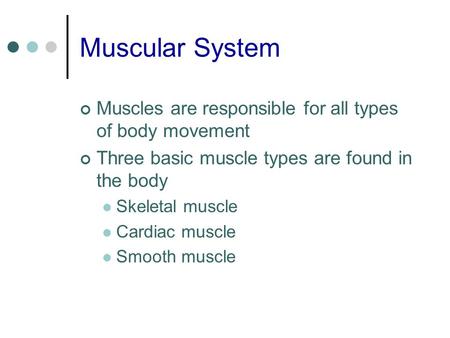 Muscular System Muscles are responsible for all types of body movement