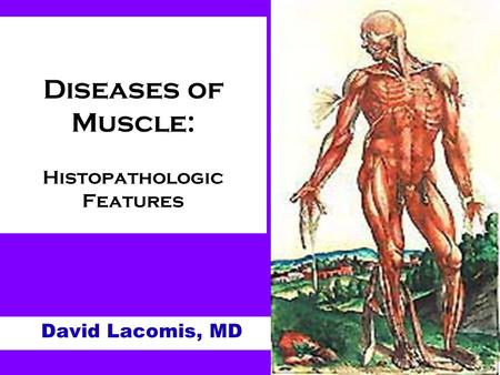 Diseases of Muscle: Histopathologic Features