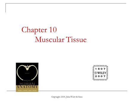 Chapter 10 Muscular Tissue