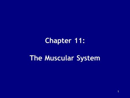 Chapter 11: The Muscular System