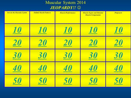 Muscular System 2014 JEOPARDY!! Intro to the Muscular SystemSkeletal Muscle Features Muscle PerformanceMuscle Types and Skeletal Muscle Components Potpourri.