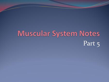 Muscular System Notes Part 5.