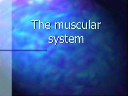 The muscular system.