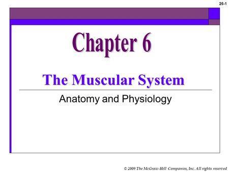 Anatomy and Physiology