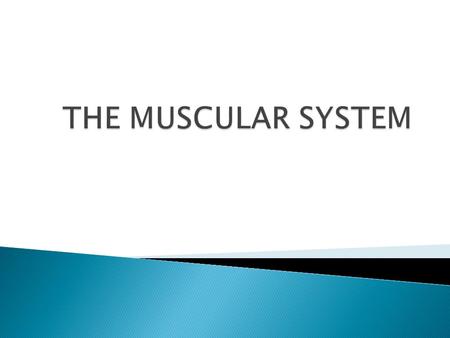  FUNCTIONS: ◦ Body Movement ◦ Pump Blood Throughout body ◦ Move food through digestive system ◦ Control air movement in and out of the lungs.