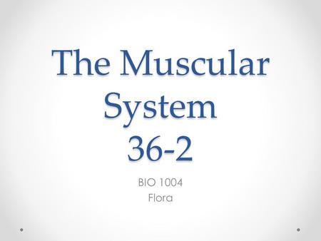 The Muscular System 36-2 BIO 1004 Flora. Types of Muscle Tissue 3 Different Types of muscle tissue: o Skeletal o Smooth o Cardiac o Each type of muscle.