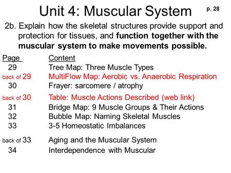 Unit 4: Muscular System 2b. Explain how the skeletal structures provide support and protection for tissues, and function together with the muscular system.