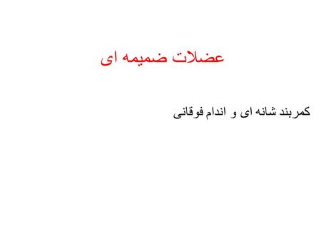 عضلات ضمیمه ای کمربند شانه ای و اندام فوقانی. عضلاتی که باعث حرکت کتف می شوند Anterior: primarily protraction and depression Pectoralis minor Serratus.