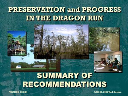 PRESERVATION and PROGRESS IN THE DRAGON RUN SUMMARY OF RECOMMENDATIONS PRESERVATION and PROGRESS IN THE DRAGON RUN SUMMARY OF RECOMMENDATIONS PARADIGM.