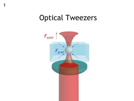 Optical Tweezers F scatt F grad 1. Velocity autocorrelation function from the Langevin model kinetic property property of equilibrium fluctuations For.