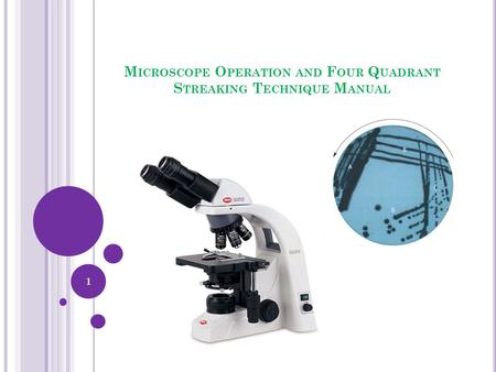 M ICROSCOPE O PERATION AND F OUR Q UADRANT S TREAKING T ECHNIQUE M ANUAL 1.