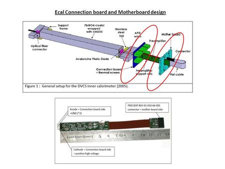 Ecal Connection board and Motherboard design. Connection Board Motherboard.