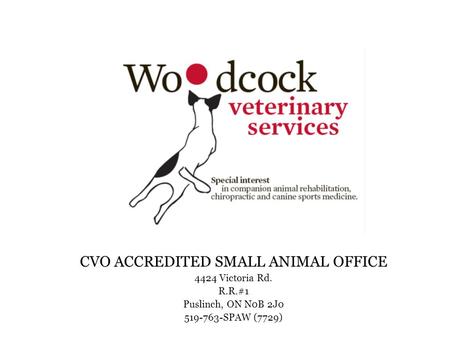 CVO ACCREDITED SMALL ANIMAL OFFICE 4424 Victoria Rd. R.R.#1 Puslinch, ON N0B 2J0 519-763-SPAW (7729)