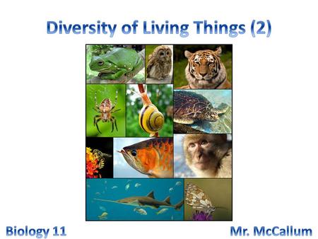 GCO: How are living things organized into groups for ease of study – SCO: Describe peer review and explain how classification systems developed as new.