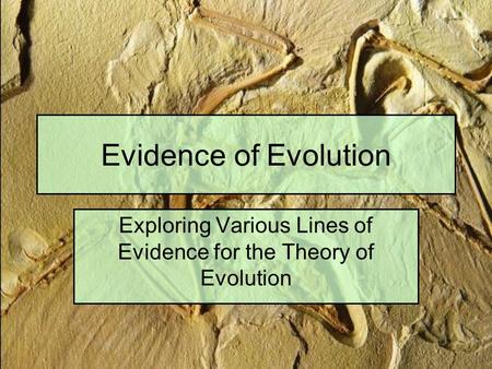 Evidence of Evolution Exploring Various Lines of Evidence for the Theory of Evolution.