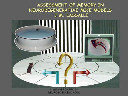 11th ISN-IBRO AFRICAN NEUROSCIENCE SCHOOL ASSESSMENT OF MEMORY IN NEURODEGENERATIVE MICE MODELS J.M. LASSALLE.