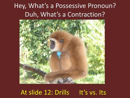 Hey, What’s a Possessive Pronoun? Duh, What’s a Contraction? At slide 12: Drills It’s vs. Its.