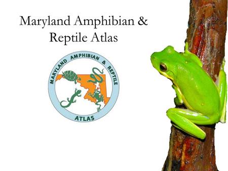 Maryland Amphibian & Reptile Atlas. IUCN Red List - 2010 2010 Source: IUCN 2010 Red List Summary Statistics