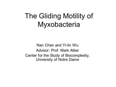 The Gliding Motility of Myxobacteria Nan Chen and Yi-lin Wu Advisor: Prof. Mark Alber Center for the Study of Biocomplexity, University of Notre Dame.