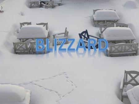 BLIZZARD.