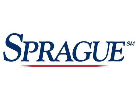 Reducing Pesticide Use Through Spatial Mapping and Precision Targeting Jeffrey A. Weier Sprague Pest Solutions.