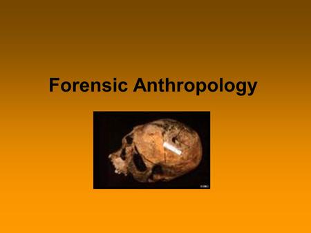 Forensic Anthropology