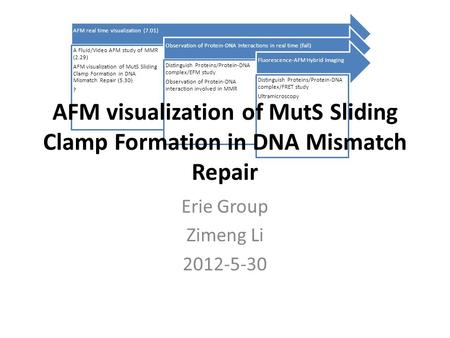 Erie Group Zimeng Li 2012-5-30 AFM real time visualization (7.01) A Fluid/Video AFM study of MMR (2.29) AFM visualization of MutS Sliding Clamp Formation.