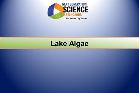 Lake Algae. Performance Expectations Students who demonstrate understanding can:  Evaluate data to explain resource availability and other environmental.