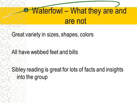 Waterfowl – What they are and are not Great variety in sizes, shapes, colors All have webbed feet and bills Sibley reading is great for lots of facts and.