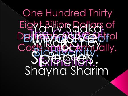 Extreme Loss of Biodiversity. The Cause of much Extinction. Invasive Species. Yaniv Sadka Wilson Choy Present Shayna Sharim &