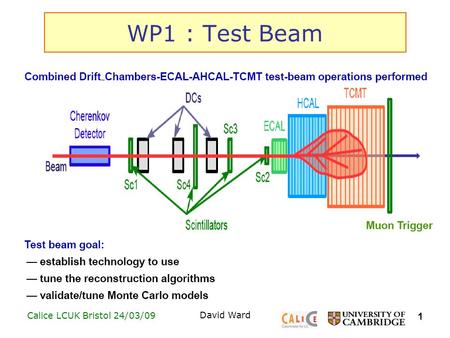 1 Calice LCUK Bristol 24/03/09 David Ward WP1 : Test Beam.