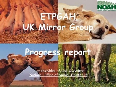 ETPGAH UK Mirror Group Progress report Phil Sketchley - Chief Executive National Office of Animal Health Ltd.