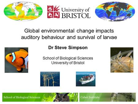 Global environmental change impacts auditory behaviour and survival of larvae Dr Steve Simpson School of Biological Sciences University of Bristol.