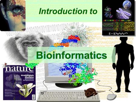 1 Introduction to Bioinformatics 2 Mini Exam 3 3 Mini Exam Take a pencil and a piece of paper Please, not too close to your neighbour There a three.