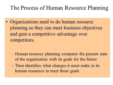 The Process of Human Resource Planning