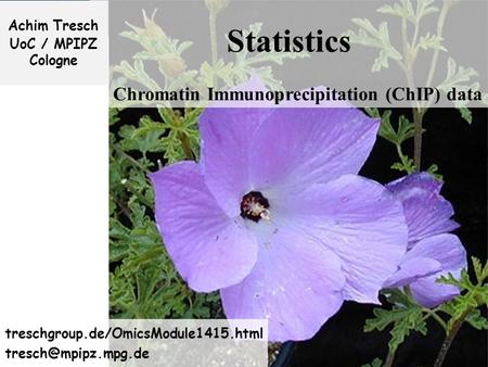 1 Statistics Achim Tresch UoC / MPIPZ Cologne treschgroup.de/OmicsModule1415.html Chromatin Immunoprecipitation (ChIP) data.