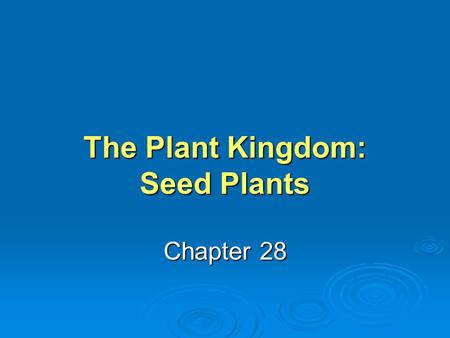 The Plant Kingdom: Seed Plants