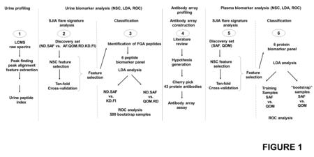 SJIA flare signature analysis 2 Discovery set (ND.SAF vs. AF.QOM.RD.KD.FI) 1 LCMS raw spectra Peak finding peak alignment feature extraction Urine peptide.