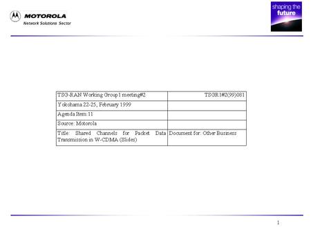 Network Solutions Sector 1. 2 SHARED CHANNELS FOR PACKET DATA TRANSMISSION IN W-CDMA.