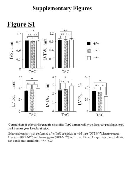 Figure S1    TAC IVS, mm 0 0.6 1.2 0.3 0.9 TAC LVPW, mm 0 0.6 1.2 0.3 0.9 n.s. TAC LVDd, mm 0 2 4 6 TAC LVDs, mm 0 2 4 1 3 TAC LVFS, % 0 20 40.