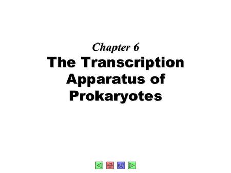 Chapter 6 The Transcription Apparatus of Prokaryotes