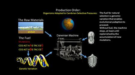 Mutations: CCG ACT A A G TAC CG G CCG ACT A G G TAC CG T Genetic Variation The Fuel The Raw Materials Production Order: Organisms Adapted to Cambrian Selective.