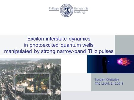 Exciton interstate dynamics in photoexcited quantum wells manipulated by strong narrow-band THz pulses Sangam Chatterjee TAC-LSUM, 6.10.2013.