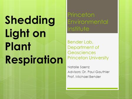 Princeton Environmental Institute Bender Lab, Department of Geosciences Princeton University Natalie Saenz Advisors: Dr. Paul Gauthier Prof. Michael Bender.