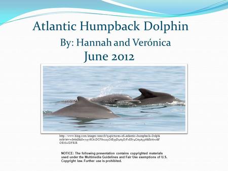 Atlantic Humpback Dolphin By: Hannah and Verónica NOTICE: The following presentation contains copyrighted materials used under the Multimedia Guidelines.