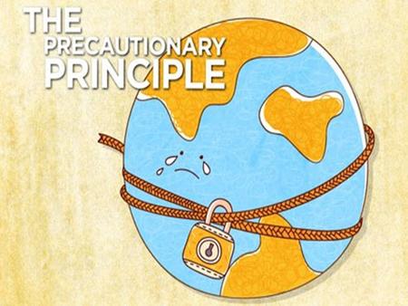 References: J.A. & Geiser K. 2001: The precautionary principle stimulus for solutions and alternatives based environmental policy Menv. 2003: Québec adoptes.