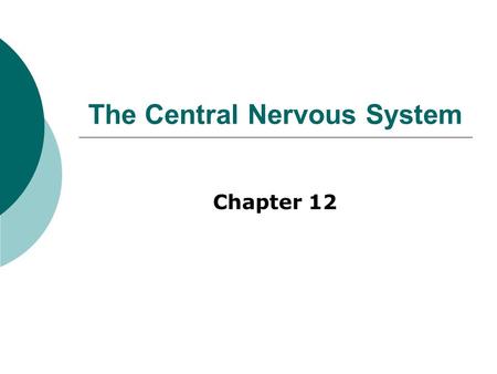 The Central Nervous System