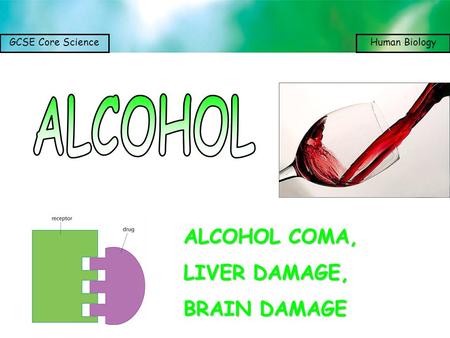 ALCOHOL ALCOHOL COMA, LIVER DAMAGE, BRAIN DAMAGE.