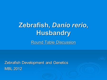 Zebrafish, Danio rerio, Husbandry Round Table Discussion Zebrafish Development and Genetics MBL 2012.