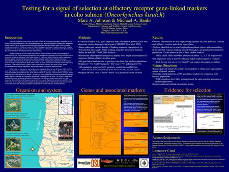 Testing for a signal of selection at olfactory receptor gene-linked markers in coho salmon (Oncorhynchus kisutch) Marc A. Johnson & Michael A. Banks Coastal.